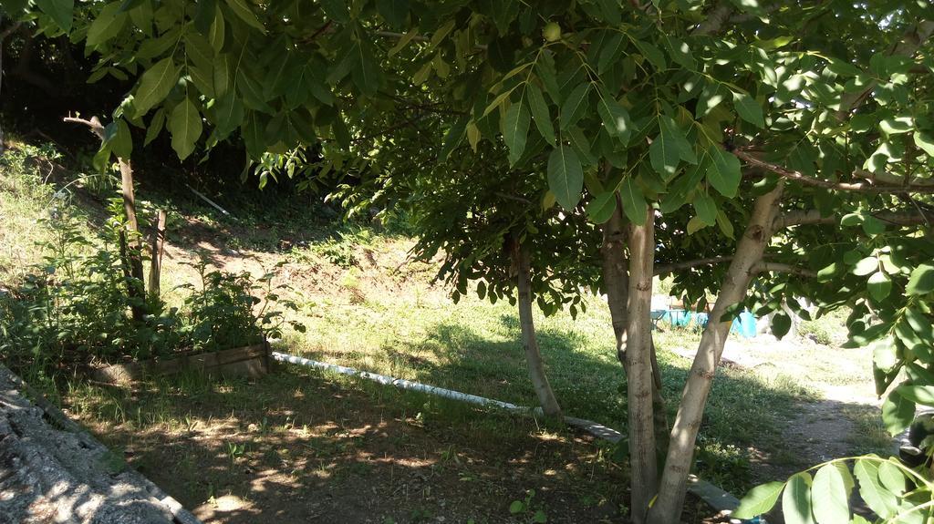 Agatha Appartments Paliouria Kókkinon Nerón Dış mekan fotoğraf